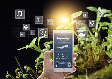 Smart Agriculture Solution